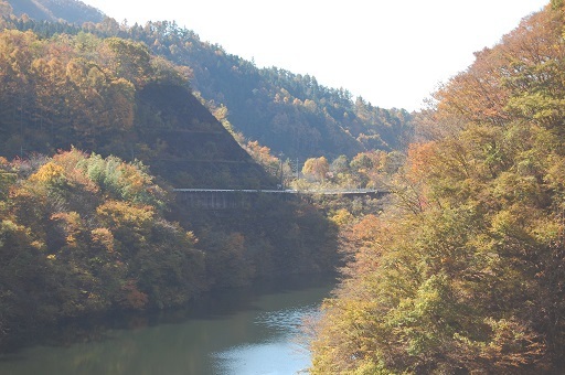DSC_0083.JPG