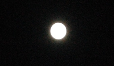 DSC_0085.JPG
