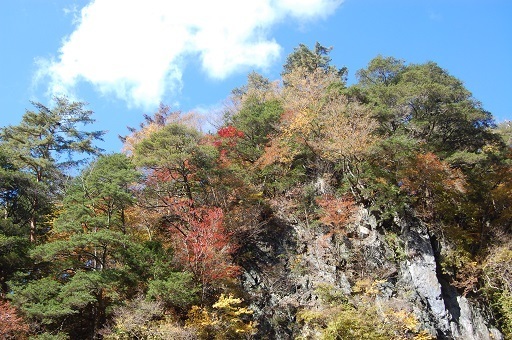 DSC_0086.JPG