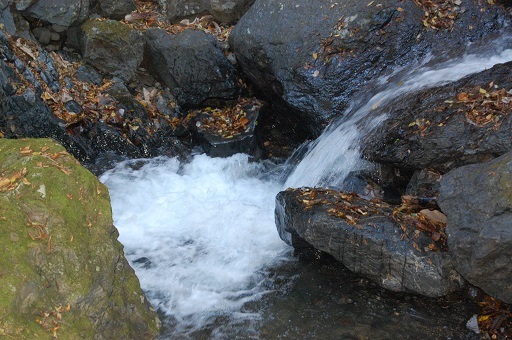 DSC_0087.JPG