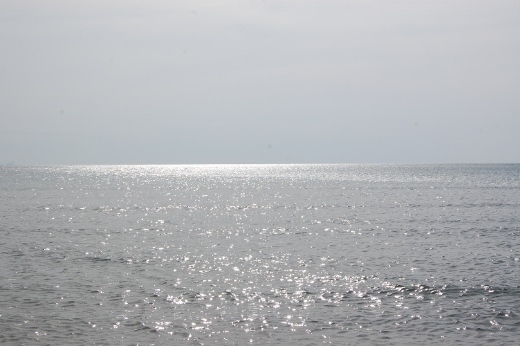DSC_0088 (520x346).jpg