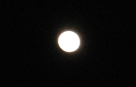 DSC_0090.JPG