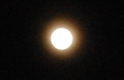 DSC_0094.JPG