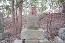 DSC_0094 (130x86).jpg