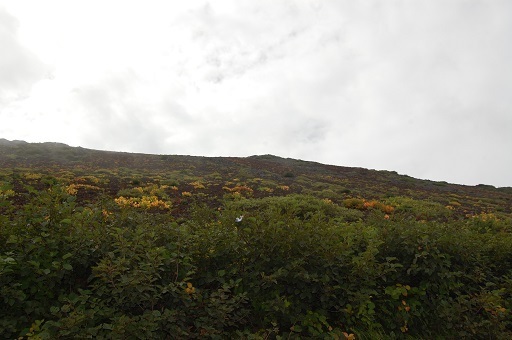 DSC_0095.JPG