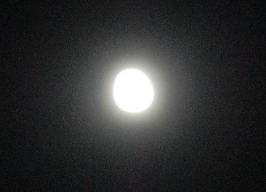 DSC_0095.JPG