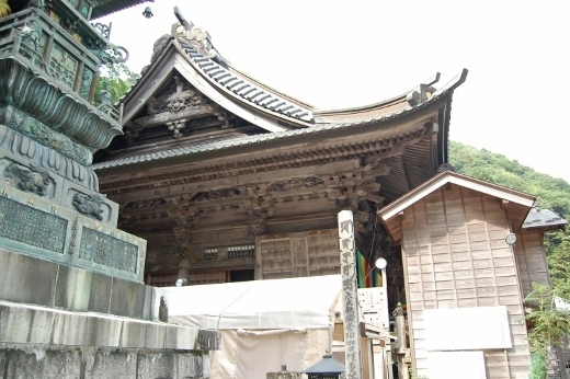 DSC_0097 (520x346).jpg