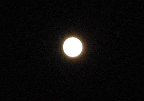 DSC_0098.JPG