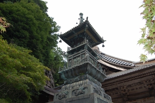 DSC_0098 (520x346).jpg