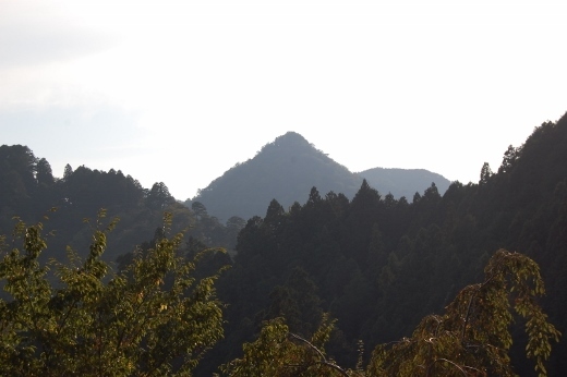 DSC_0107 (520x346).jpg