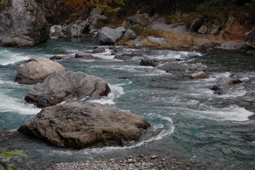 DSC_0108 (520x346).jpg