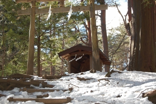 DSC_0113 (520x346).jpg