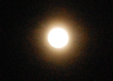 DSC_0119.JPG