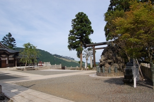 DSC_0119 (520x346).jpg