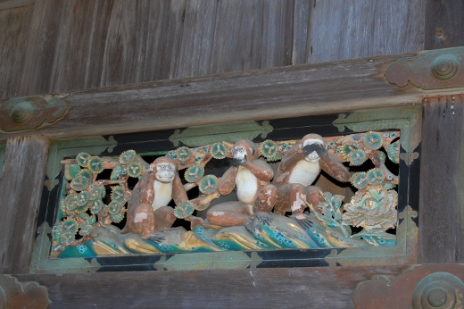 DSC_0121 (520x346).jpg