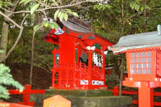 DSC_0122 (520x346).jpg