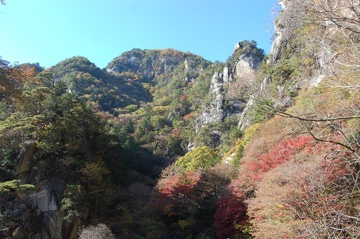 DSC_0126.JPG
