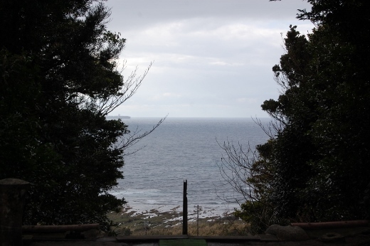 DSC_0126 (520x346).jpg