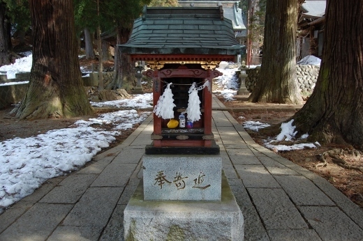 DSC_0128 (520x346).jpg