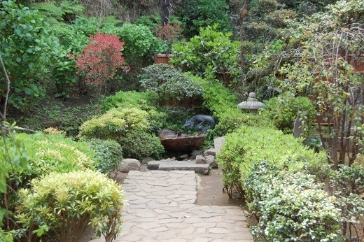 DSC_0128 (520x346).jpg