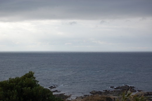 DSC_0139 (520x346).jpg