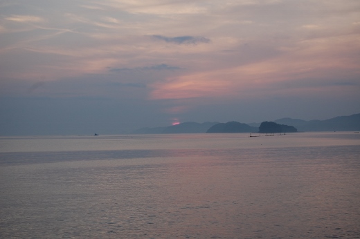DSC_0144 (520x346).jpg