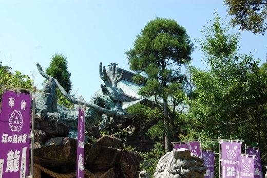 DSC_0144 (520x346).jpg