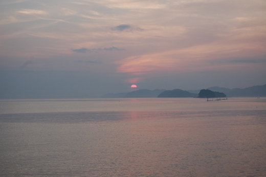 DSC_0145 (520x346).jpg