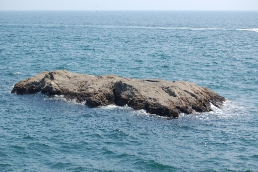 DSC_0145 (520x346).jpg