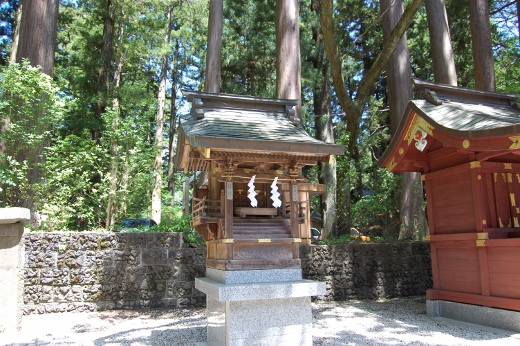 DSC_0146 (520x346).jpg