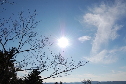 DSC_0148 (520x346).jpg
