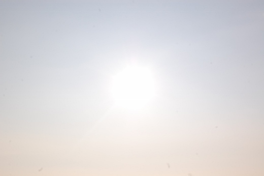 DSC_0162 (520x346).jpg
