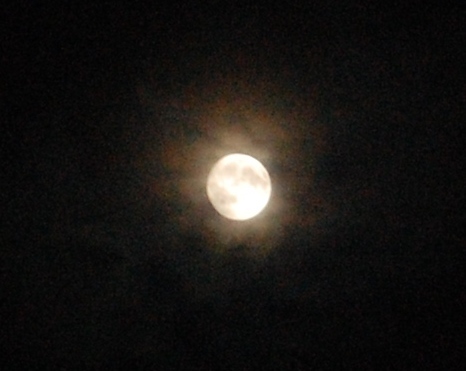 DSC_0166.JPG