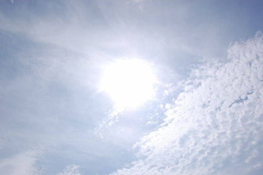 DSC_0176 (520x346).jpg