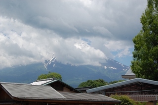 DSC_0178 (520x346).jpg