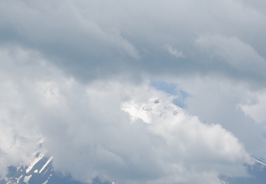 DSC_0178 (520x360).jpg