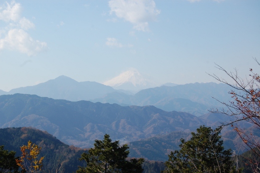 DSC_0183 (520x346).jpg