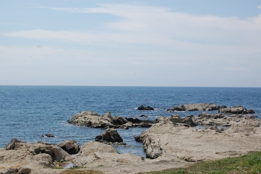 DSC_0192 (520x346).jpg