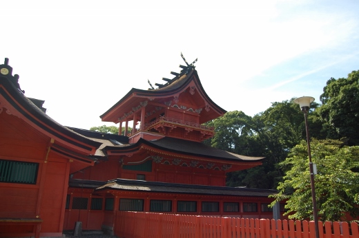 DSC_0207 (520x346).jpg