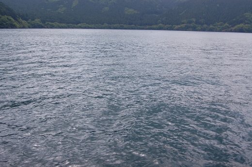 DSC_0209 (520x346).jpg