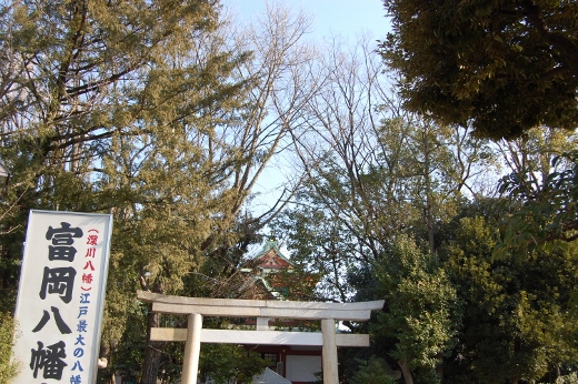 DSC_0217 (520x346).jpg