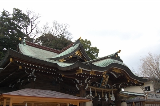 DSC_0223 (520x346).jpg