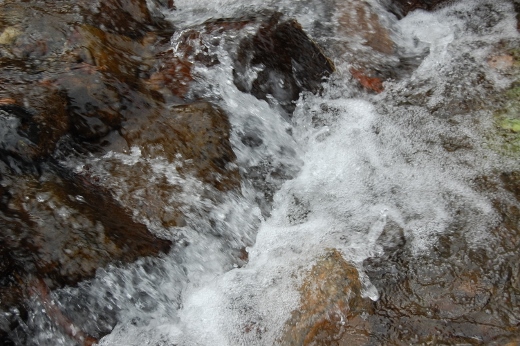 DSC_0234 (520x346).jpg