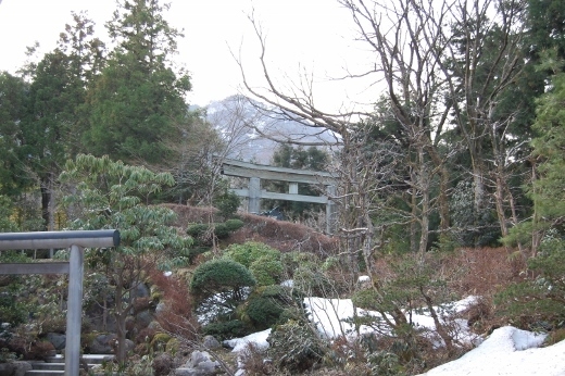 DSC_0242 (520x346).jpg