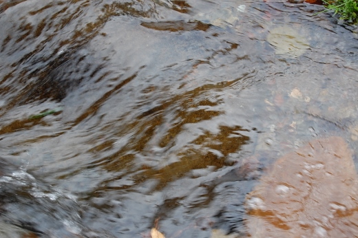 DSC_0246 (520x346).jpg