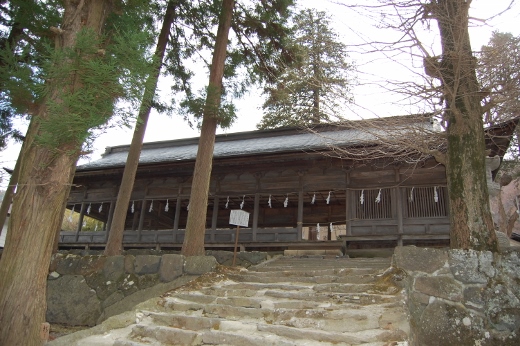 DSC_0250 (520x346).jpg