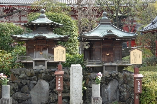 DSC_0271 (520x346).jpg