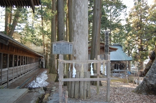 DSC_0277 (520x346).jpg
