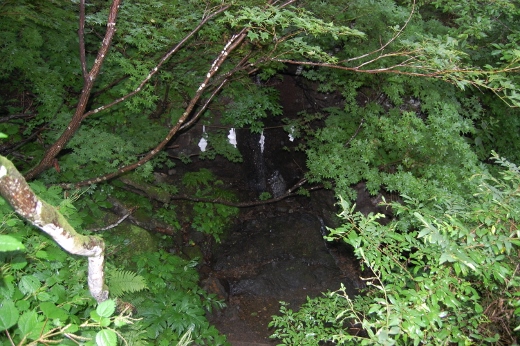 DSC_0295 (520x346).jpg