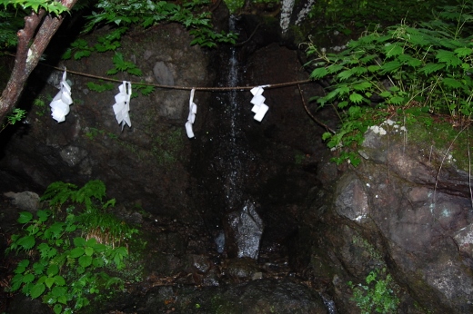 DSC_0296 (520x346).jpg
